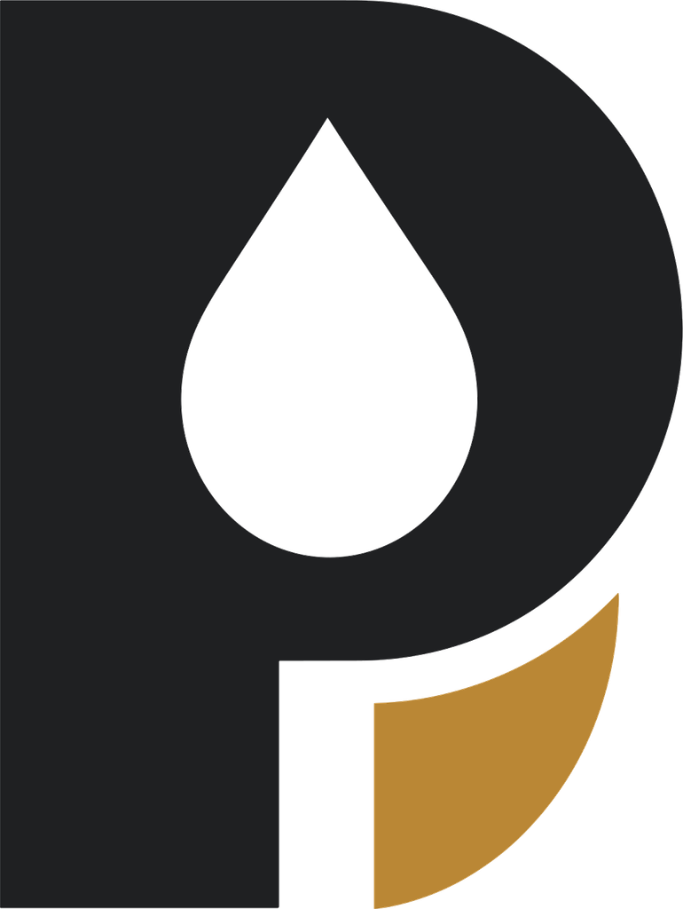 PlumbFuse Logo